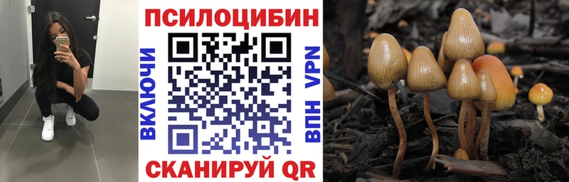 Галлюциногенные грибы прущие грибы Калуга