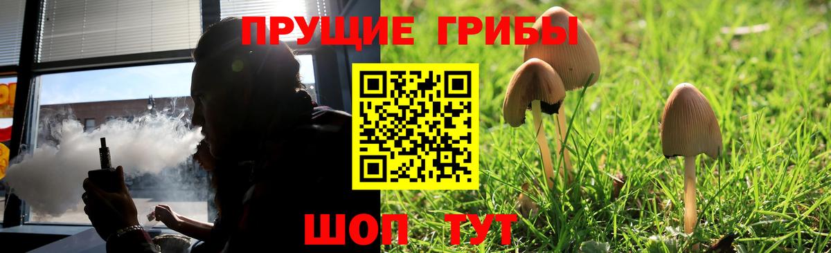 Псилоцибиновые грибы мицелий Калуга